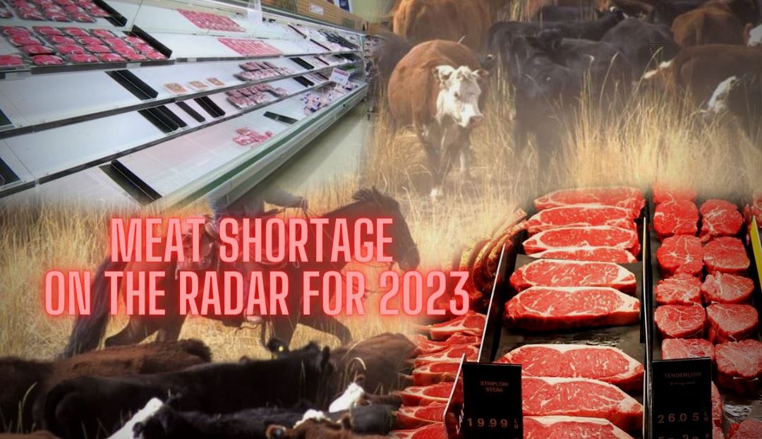 Stock Up Now! Meat Shortage On The Radar For 2023